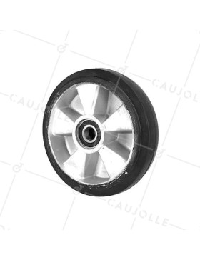 Ruota DI TRANSPALETTE DIAMETRO 200 MM CARICO 450 KG ASSE 20MM SFERE - Ruota TRANSPAL 200 • Caujolle