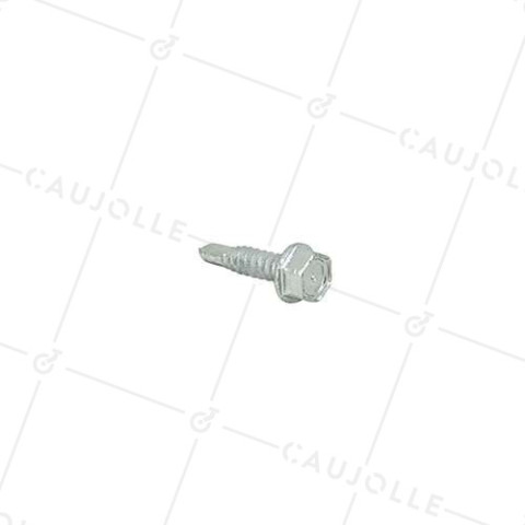 VIS AUTOPERFORANTI PER Ruote DIAMETRO 6 MM LUNGHEZZA 25 MM • Caujolle