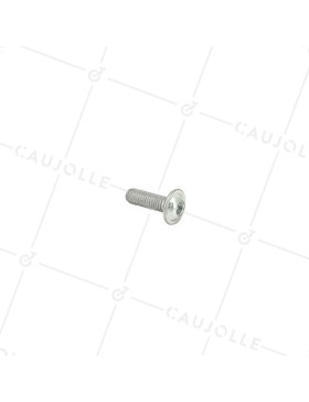 VITE A METAL A TESTA BOMBA SEMPLICE ESAGONALE CON BASE DIAMETRO 6 MM LUNGHEZZA 20 MM • Caujolle