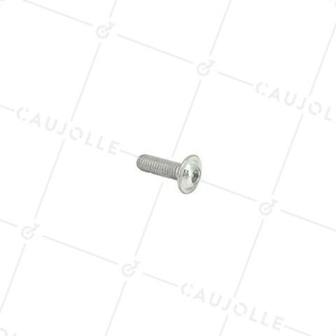 VITE A METAL A TESTA BOMBA SEMPLICE ESAGONALE CON BASE DIAMETRO 6 MM LUNGHEZZA 20 MM • Caujolle