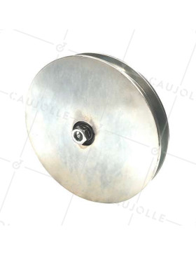 Ruota DI PORTALE LARGO A Gola QUADRATA DIAMETRO 250 MM PER RAIL QUADRATO DI 25 MM CARICO 1.6T ASSE 18 MM - GAGC250L • Caujolle