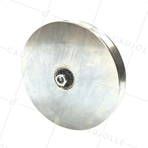 Ruota DI PORTALE LARGO A Gola V DIAMETRO 250 MM PER RAIL TRIANGOLARE DI 25 MM CARICO 1,6T ASSE 18 MM - GAGV250L • Caujolle