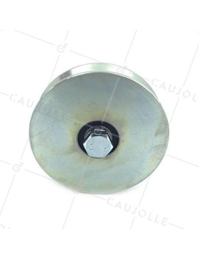 Ruota DI PORTALE LARGO A Gola TRIANGOLARE DI 10 MM DI PROFONDITÀ E DIAMETRO 120 MM