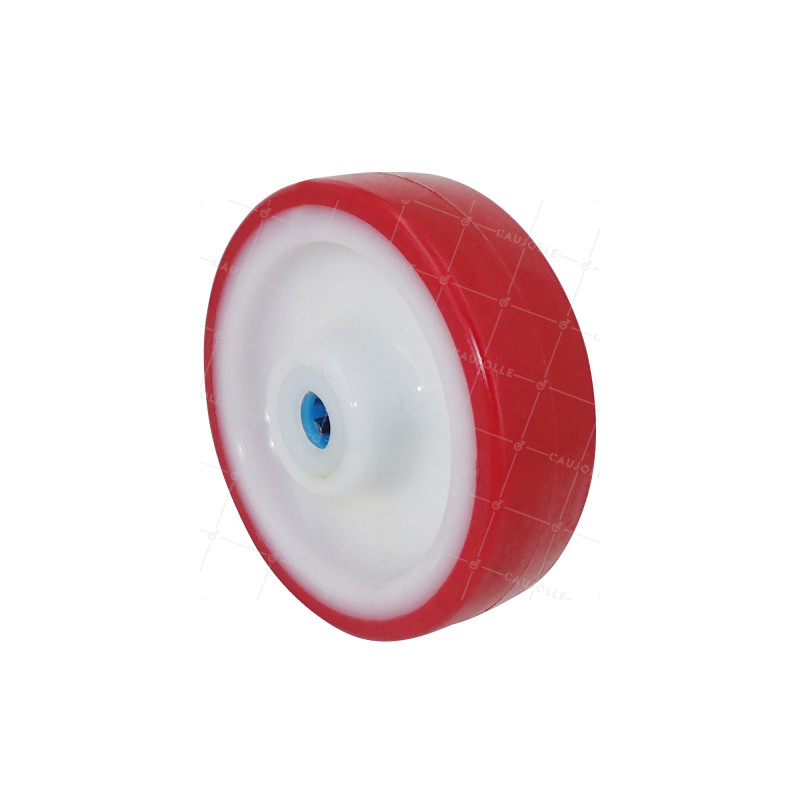 Ruota D'ABRI DI PISCINA NYLON POLIURETANO DIAMETRO 100 MM CARICO 120 KG ASSE 12 MM Cuscinetto INOX - S2450BP 100 RR INOX 12