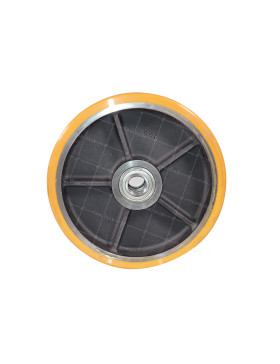 Ruota DI STAZIONE DI DEPURAZIONE DIAMETRO 300 MM CARICO 2200 KG - SFPU 300x70