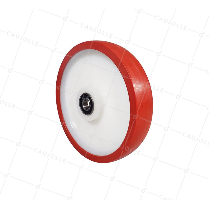 Ruota BI MATERIALE NYLON POLIURETANO ANTI RUMORI DIAMETRO 250 MM CARICO 1000 KG ASSE 20 MM - S2450BP 250MB