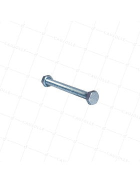BULONE DIAMETRO 6MM LUNGHEZZA 60MM • Caujolle