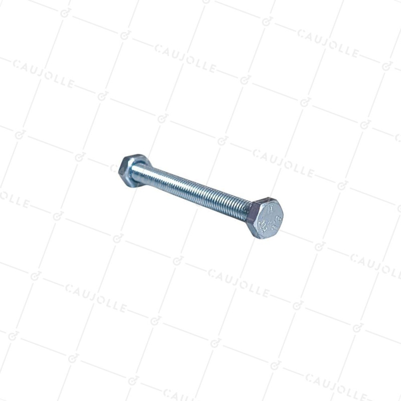 BULONE DIAMETRO 6MM LUNGHEZZA 60MM