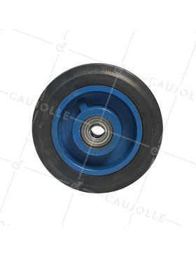 Ruota IN FONTE Fasciatura SOFFICE DIAMETRO 250 MM CARICO 600 KG ASSE 30MM - S2750F 250 CONTINENTAL