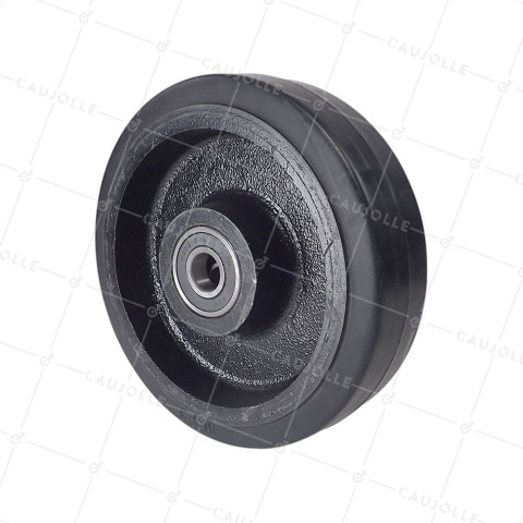 Ruota IN FONTE Fasciatura SOFFICE DIAMETRO 250 MM CARICO 600 KG ASSE 25 MM - S2750F250 • Caujolle