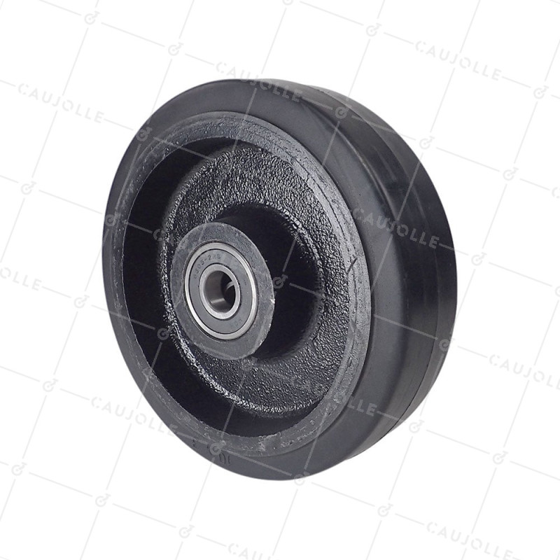 Ruota IN GHISA Fasciatura FLESSIBILE DIAMETRO 250 MM CARICO 600 KG ASSE 30 MM - S2750F250