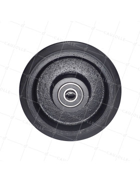 Ruota IN GHISA Fasciatura FLESSIBILE DIAMETRO 250 MM CARICO 600 KG ASSE 30 MM - S2750F250