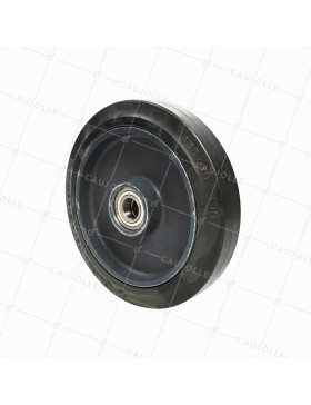 Ruota IN FONTE Fasciatura FLESSIBILE DIAMETRO 250 MM CARICO 500 KG ASSE 20 MM - S2750F250/50 • Caujolle