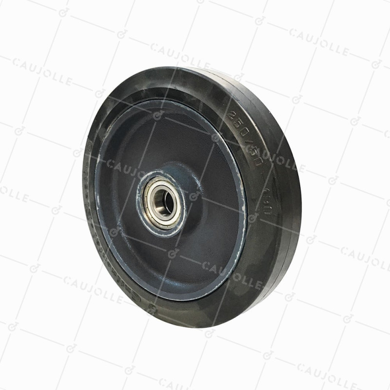 Ruota IN GHISA Fasciatura SOFT DIAMETRO 250 MM CARICO 500 KG ASSE 25 MM - S2750F250/50