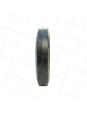 Ruota IN GHISA Fasciatura SOFT DIAMETRO 250 MM CARICO 500 KG ASSE 25 MM - S2750F250/50
