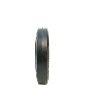Ruota IN GHISA Fasciatura SOFT DIAMETRO 250 MM CARICO 500 KG ASSE 25 MM - S2750F250/50