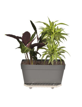 PORTE POTS A Ruote XXL 60X40X7CM CARICO 120 KG - JARDI GROOVE 60