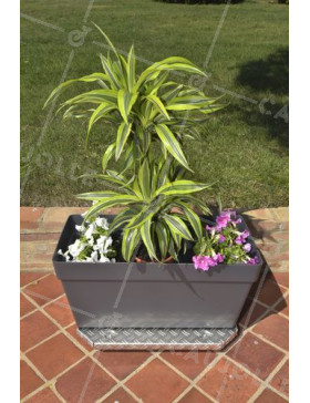 PORTE POTS A Ruote XXL 60X40X7CM CARICO 120 KG - JARDI GROOVE 60