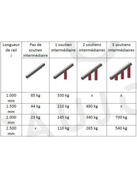 RAIL IN ACCIAIO DI 1M CON Ruote DI 28 MM DI DIAMETRO CARICO 85 KG - RULLI CONVOGLIATORI 1M ANTI UV