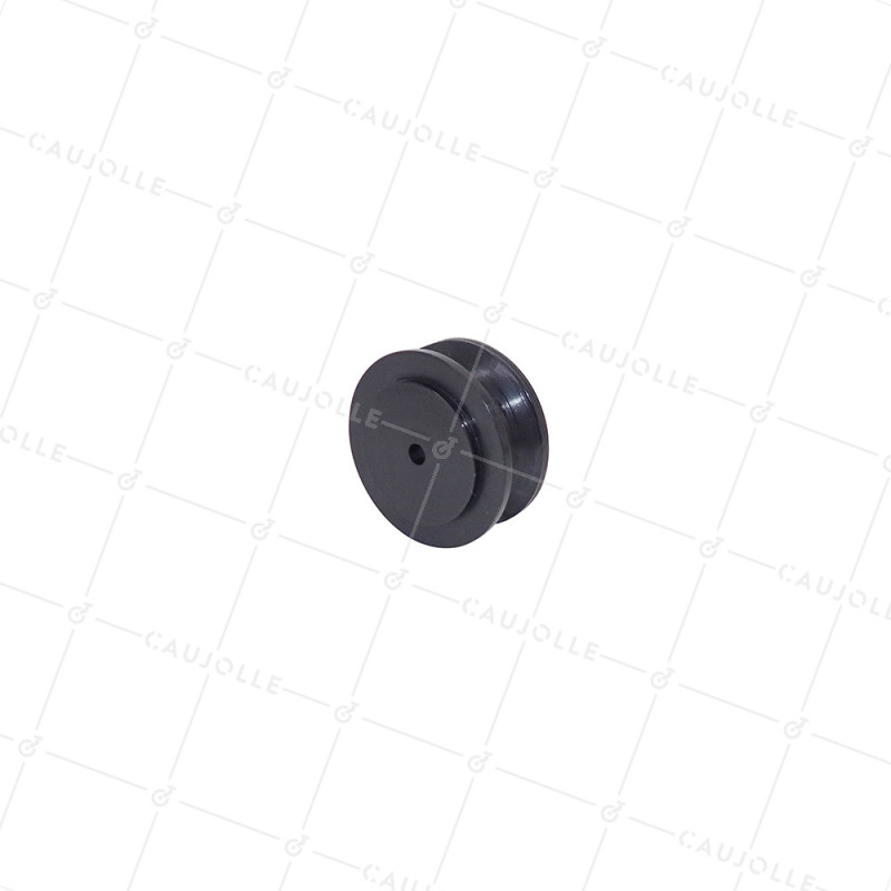PULLE' IN PLASTICA NYLON PER CORDA DI 10 MM DIAMETRO 50 MM CARICO 60 KG - GNN50GR AL5.5