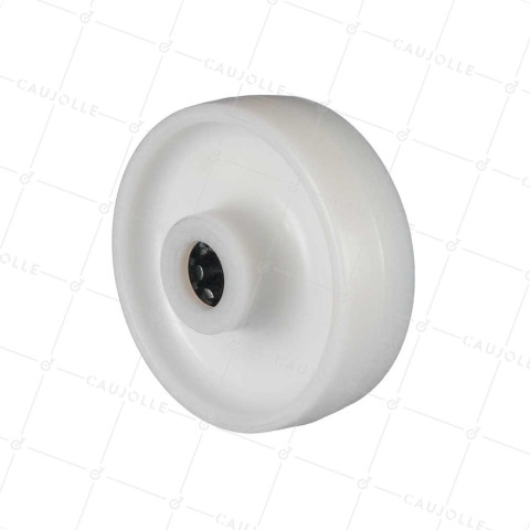 Ruota NYLON DIAMETRO 125 MM CARICO 300 KG ASSE 20 MM RULLO - S2450 125/40 LM60 RR20 • Caujolle