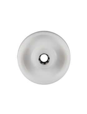 Ruota NYLON DIAMETRO 125 MM CARICO 300 KG ASSE 20 MM RULLO - S2450 125/40 LM60 RR20