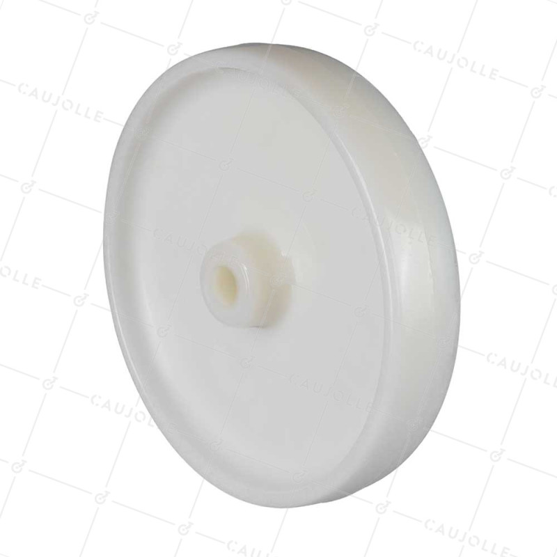 Ruota NYLON DIAMETRO 250 MM CARICO 600 KG ASSE 20 MM LISCIO - S2450 250/49 LM60 L20