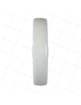 Ruota NYLON DIAMETRO 250 MM CARICO 600 KG ASSE 20 MM LISCIO - S2450 250/49 LM60 L20