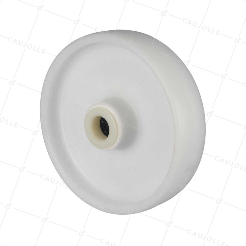 Ruota NYLON DIAMETRO 200 MM CARICO 200 KG ASSE 25 MM Cuscinetto A RULLI - S2450 200/49 LM60 RR25