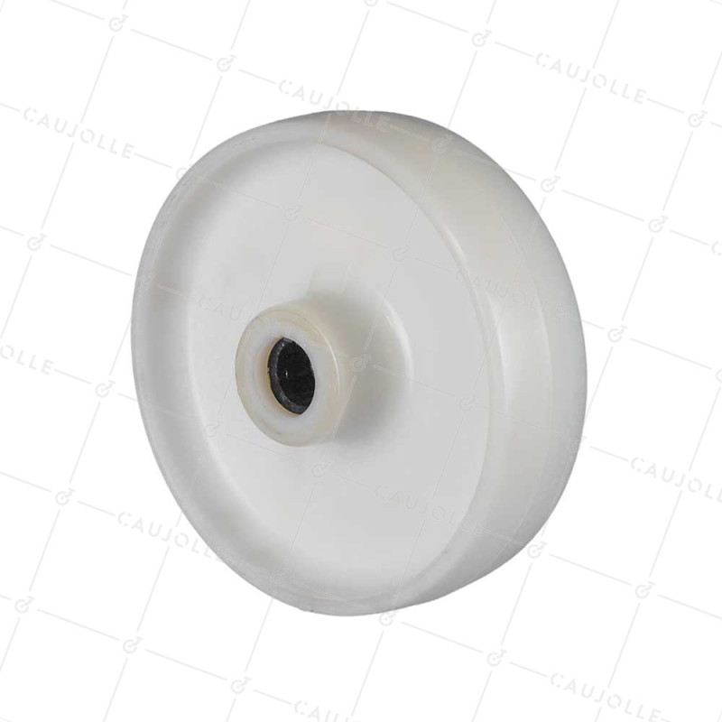 Ruota NYLON DIAMETRO 160 MM CARICO 420 KG ALBERO 20 MM RULLO - S2450 160/45 LM61 RR20