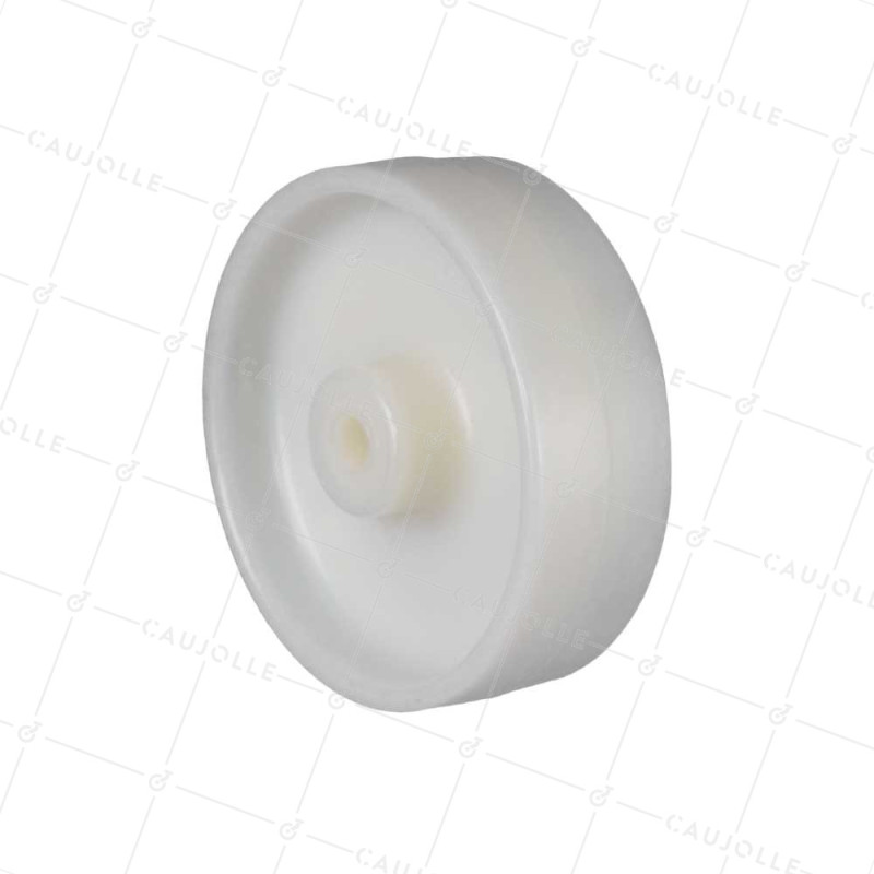 Ruota NYLON RINFORZATO ALTA CAPACITÀ DIAMETRO 250 MM CARICO 250 KG ASSE 12 MM LISCIO - S2450 125R/40 LM45 L12