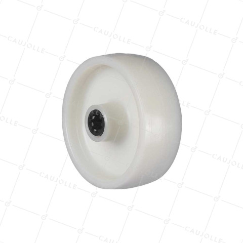 Ruota IN NYLON RINFORZATO DIAMETRO 100 MM CARICO 100 KG ASSE 12 MM E Cuscinetto A RULLETTI- S2450 100/37 LM46 RR12 • Caujolle