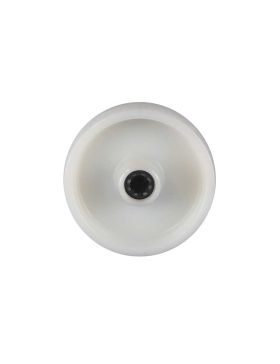 RUOTA IN NYLON RINFORZATO DIAMETRO 100 MM CARICO 100 KG ASSE 12 MM E Cuscinetto A RULLETTI- S2450 100/37 LM46 RR12